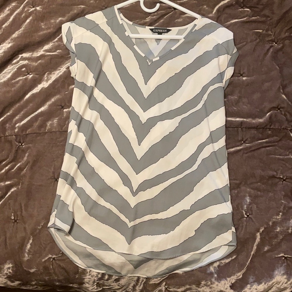 Express Zebra Stripe Top